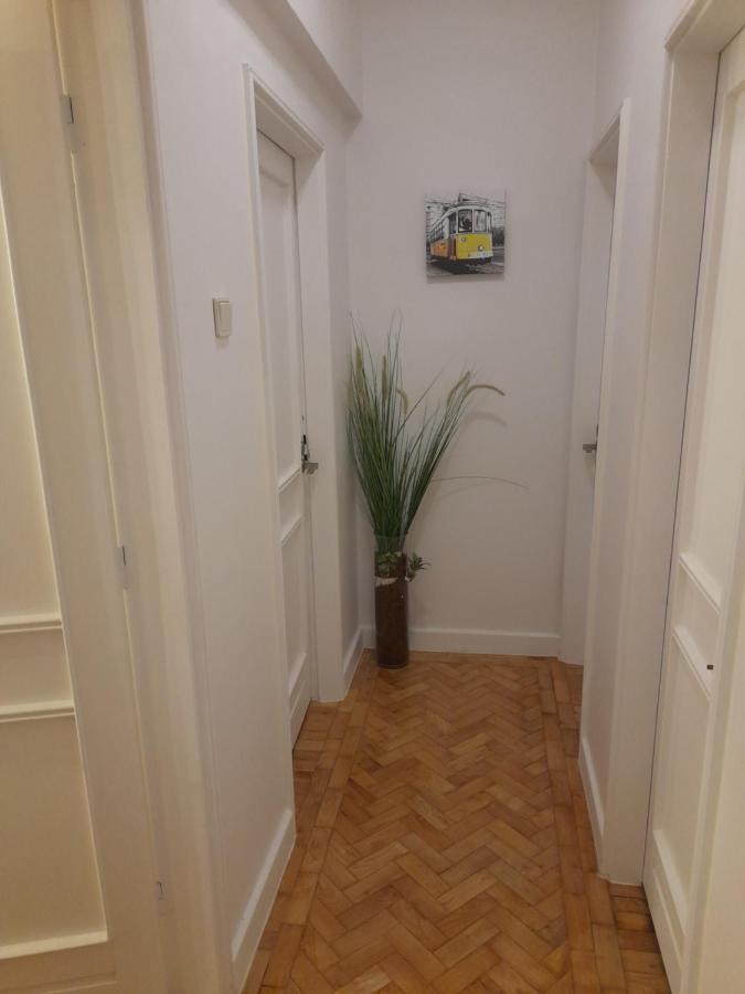Cozy Central 3 Bedrooms Bragas Porto Zewnętrze zdjęcie